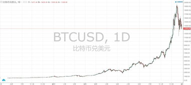 A graph displaying Bitcoin price fluctuations over time, illustrating volatility and investment potential